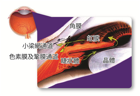 青光眼,?，斎鹨曆劭?上海眼科醫(yī)院