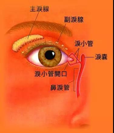 眼眶病,?，斎鹨曆劭?上海眼科醫(yī)院