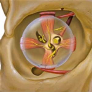 小兒眼病,希瑪瑞視眼科,上海眼科醫(yī)院