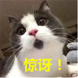 青光眼,?，斎鹨曆劭?上海眼科醫(yī)院