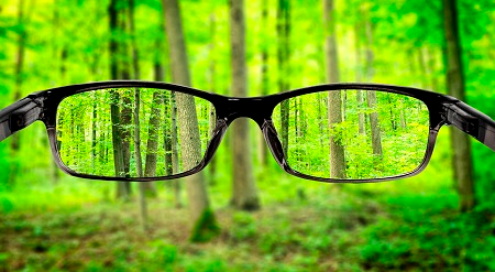 眼表眼角膜,?，斎鹨曆劭?上海眼科醫(yī)院