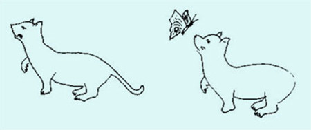 小兒眼病,希瑪瑞視眼科,上海眼科醫(yī)院