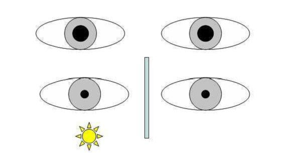 玻璃體視網膜,希瑪瑞視眼科,上海眼科醫(yī)院