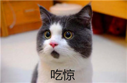 青光眼,?，斎鹨曆劭?上海眼科醫(yī)院