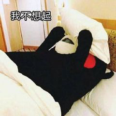 眼表眼角膜,?，斎鹨曆劭?上海眼科醫(yī)院