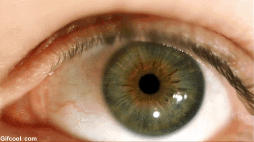 眼表眼角膜,?，斎鹨曆劭?上海眼科醫(yī)院