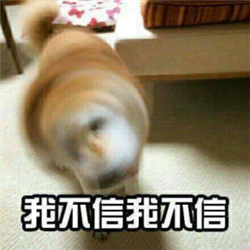 玻璃體視網(wǎng)膜,希瑪瑞視眼科,上海眼科醫(yī)院