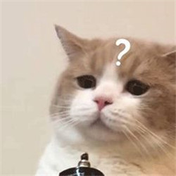 眼表眼角膜,?，斎鹨曆劭?上海眼科醫(yī)院