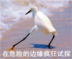 眼表眼角膜,?，斎鹨曆劭?上海眼科醫(yī)院