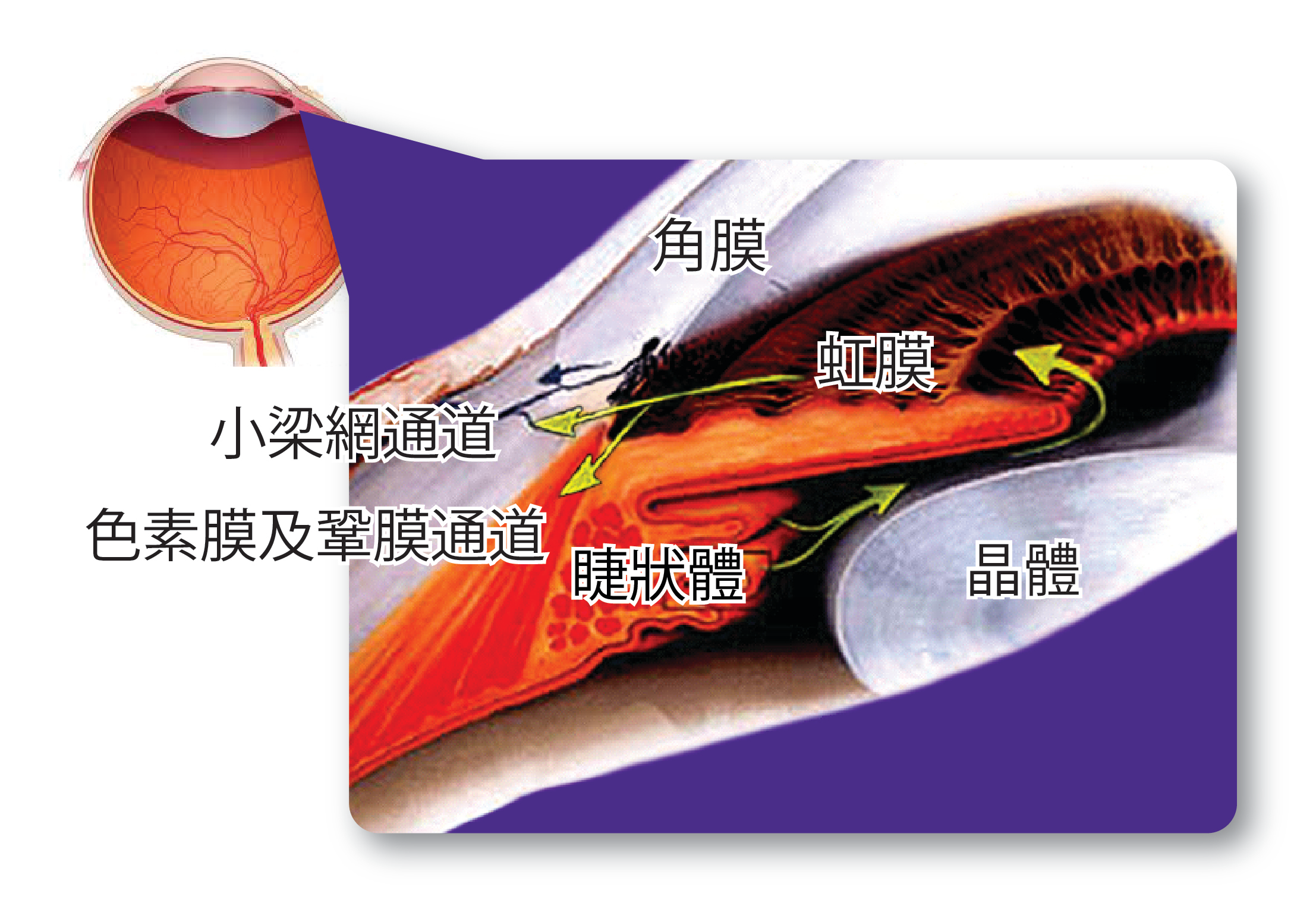 青光眼,?，斎鹨曆劭?上海眼科醫(yī)院